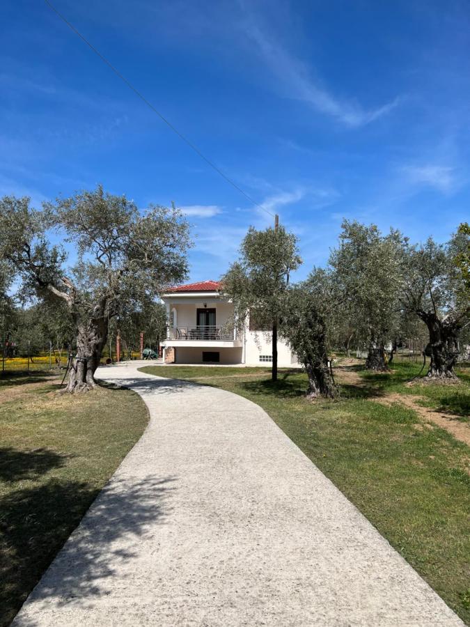 Villa Calypso Skala Rachoni  Exterior photo